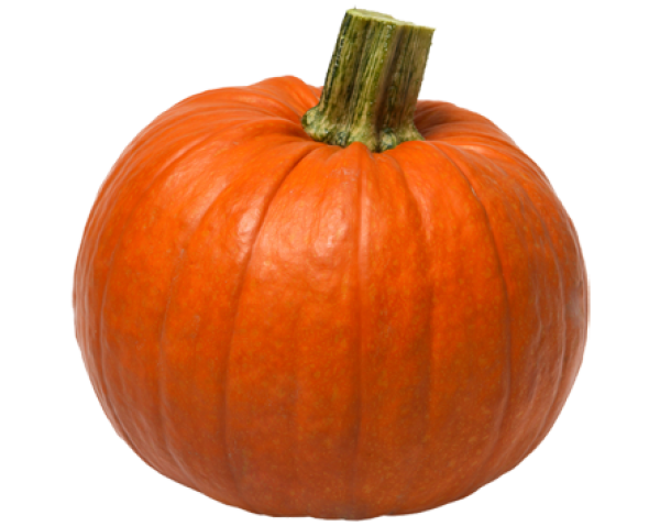 Pumpkin PNG Free Download 26