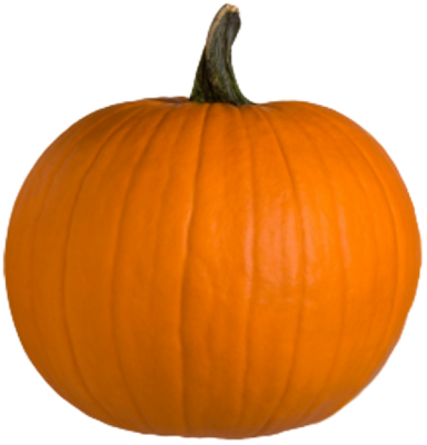 Pumpkin PNG Free Download 27