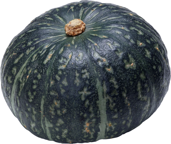 Pumpkin PNG Free Download 3