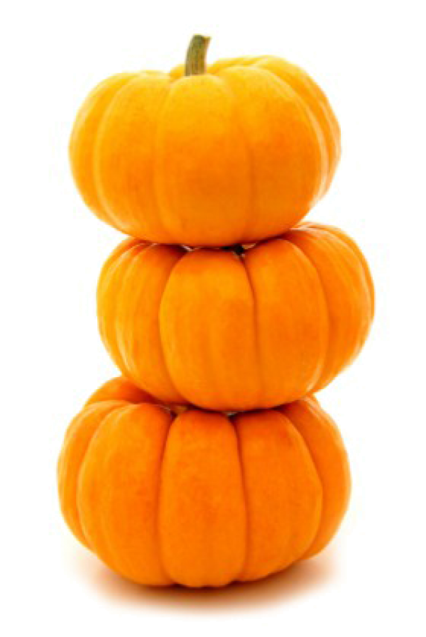 Pumpkin PNG Free Download 30