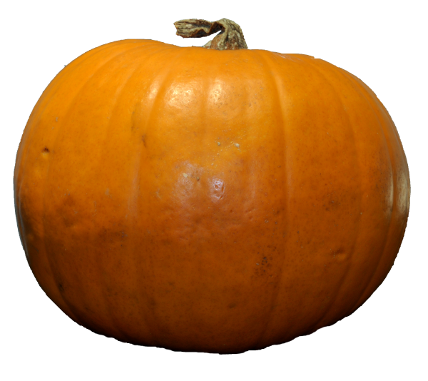 Pumpkin PNG Free Download 33