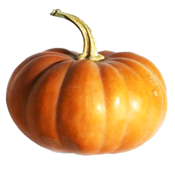 Pumpkin PNG Free Download 34