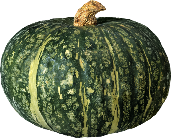 Pumpkin PNG Free Download 38