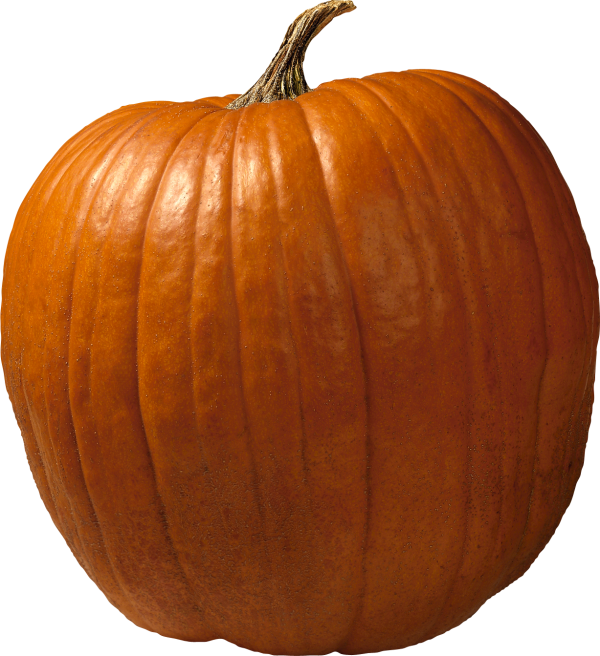 Pumpkin PNG Free Download 39