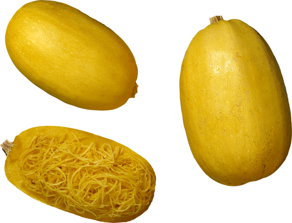 Pumpkin PNG Free Download 41