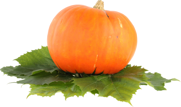 Pumpkin PNG Free Download 45