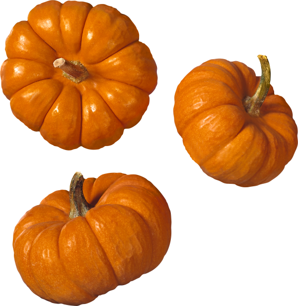 Pumpkin PNG Free Download 5