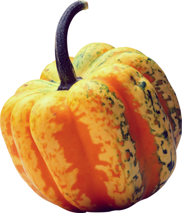 Pumpkin PNG Free Download 9