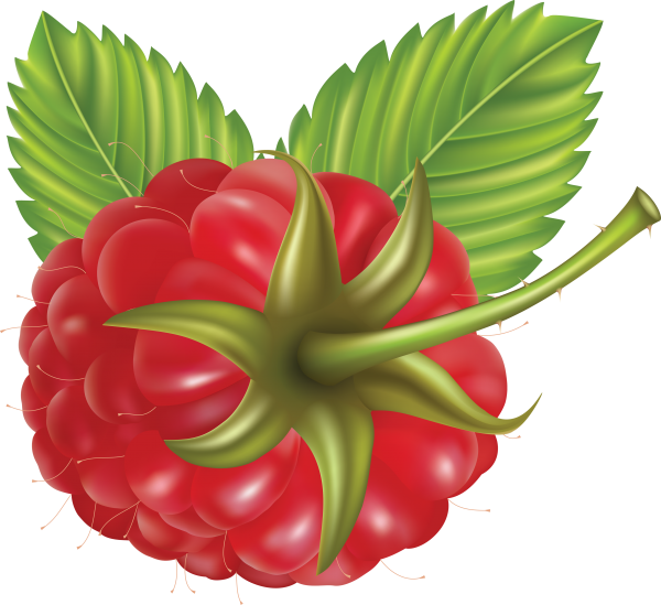 Raspberry PNG Free Download 10