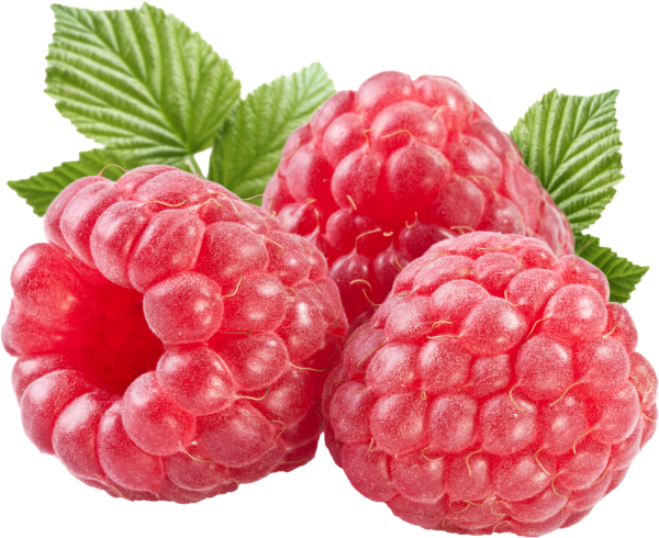 Raspberry PNG Free Download 13