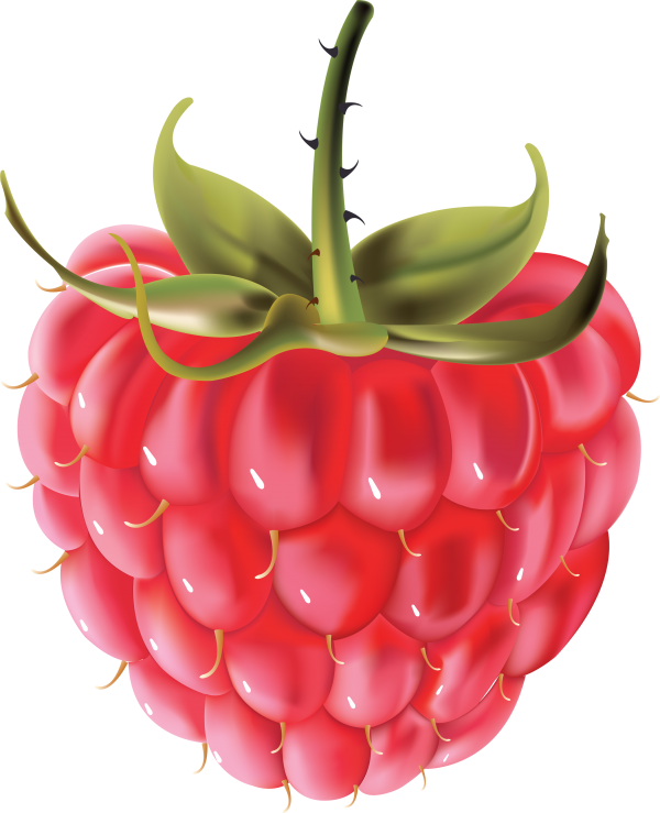 Raspberry PNG Free Download 16