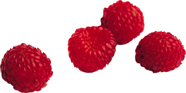 Raspberry PNG Free Download 8