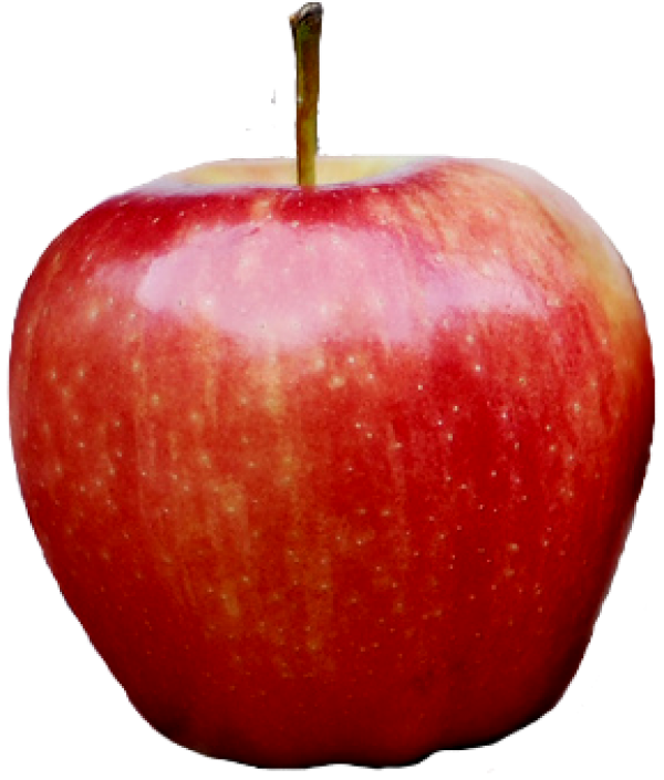 Red Kashmir Apple Png Free Download