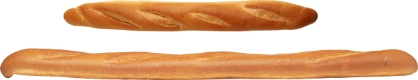 roled full breed  free png image download