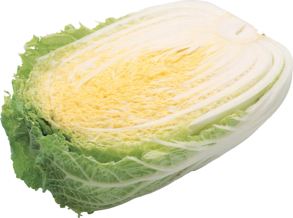 Salad PNG Free Download 1