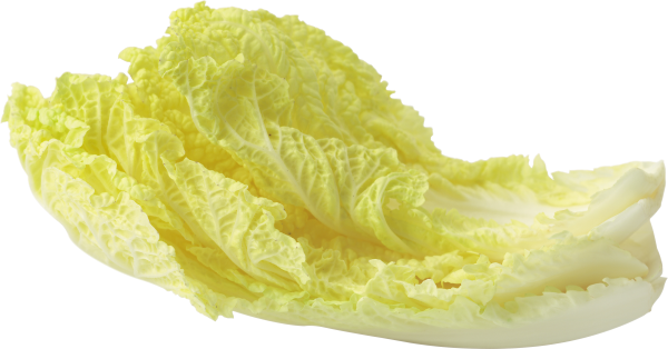 Salad PNG Free Download 10