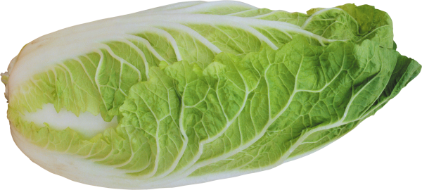 Salad PNG Free Download 15