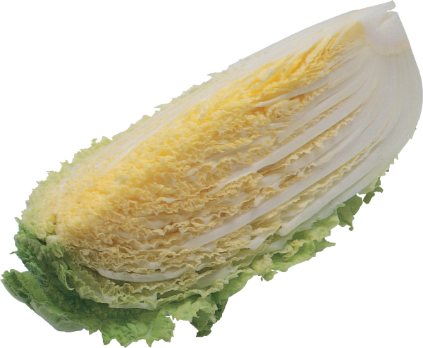 Salad PNG Free Download 16