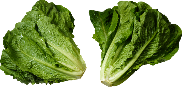 Salad PNG Free Download 18