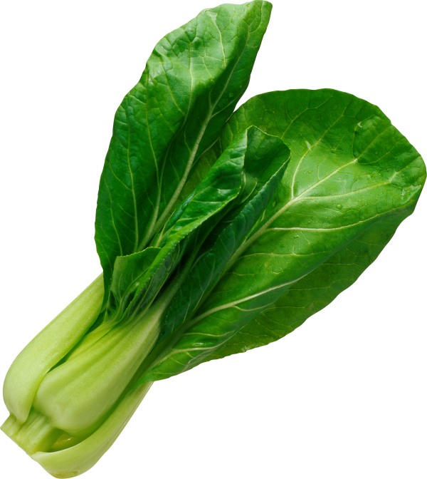 Salad PNG Free Download 19