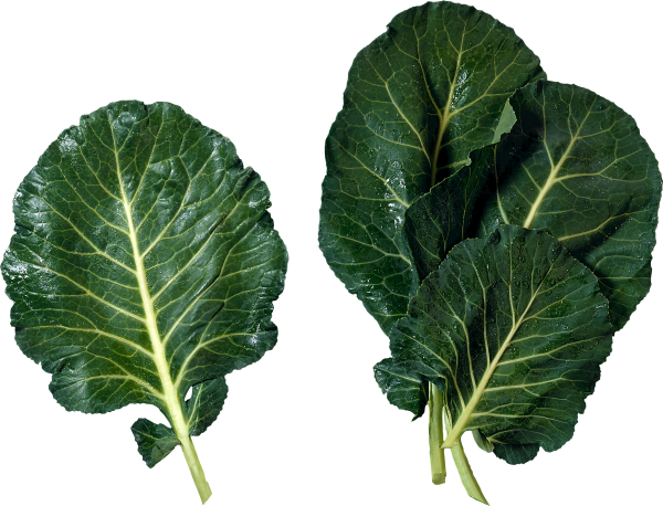 Salad PNG Free Download 2