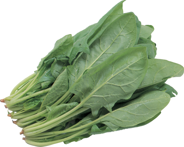 Salad PNG Free Download 3