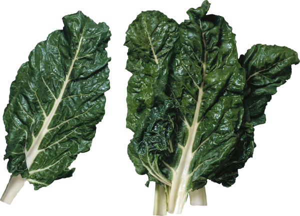 Salad PNG Free Download 4