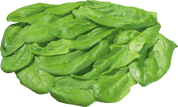 Salad PNG Free Download 5