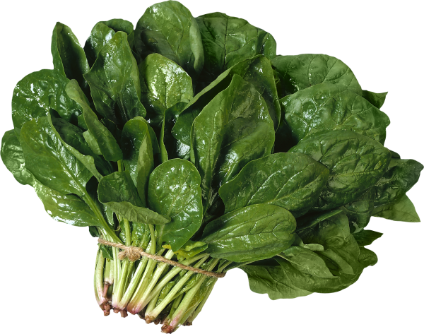 Salad PNG Free Download 6