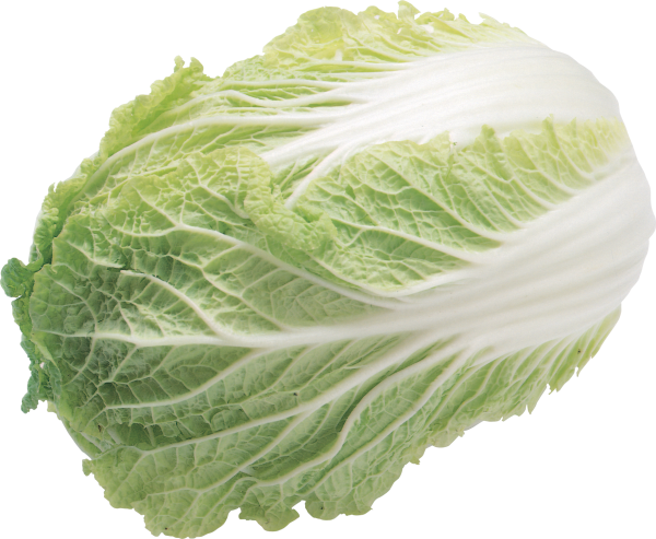 Salad PNG Free Download 7