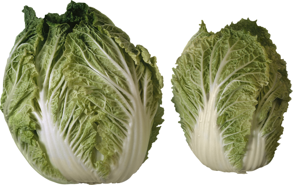 Salad PNG Free Download 8