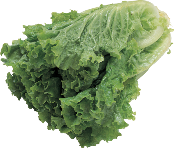 Salad PNG Free Download 9