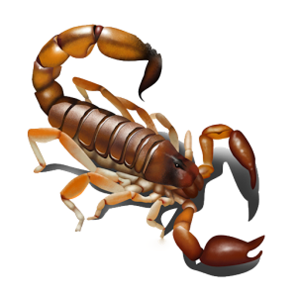 Scorpion PNG Free Download 11