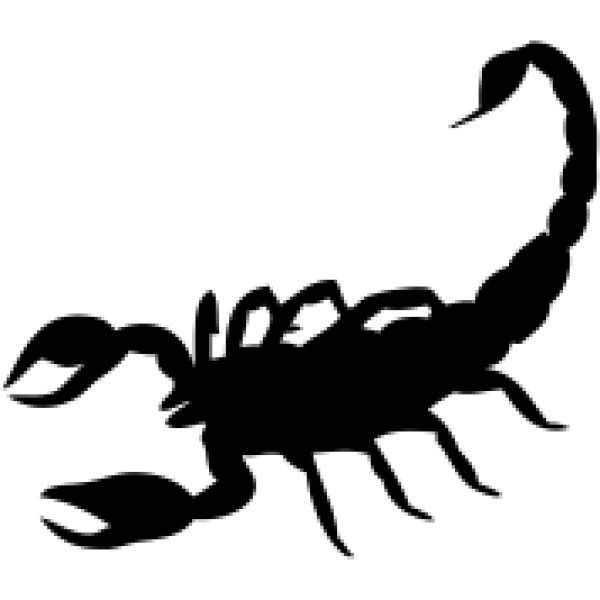 Scorpion PNG Free Download 17