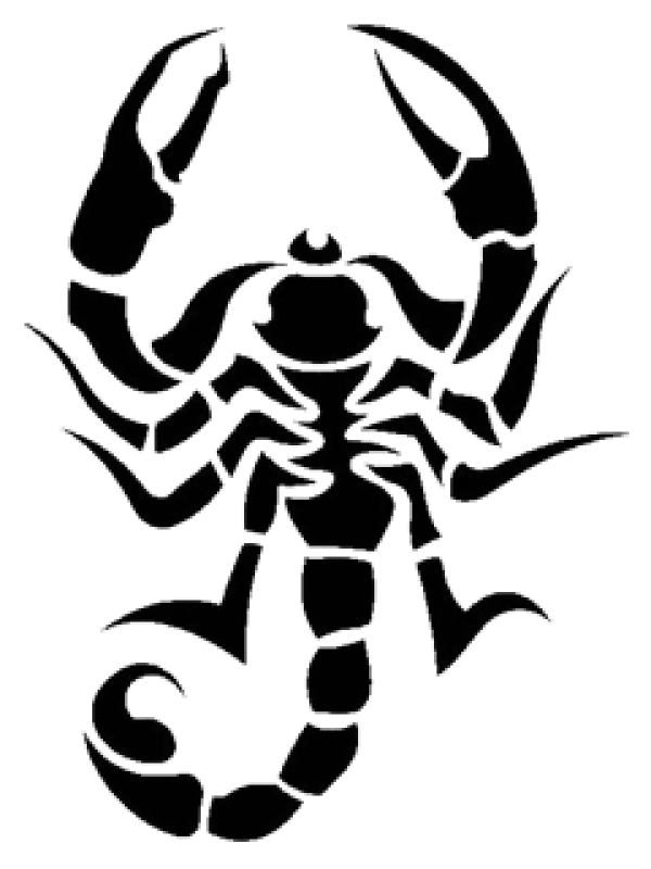 Scorpion PNG Free Download 25