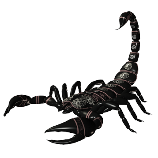 Scorpion PNG Free Download 26