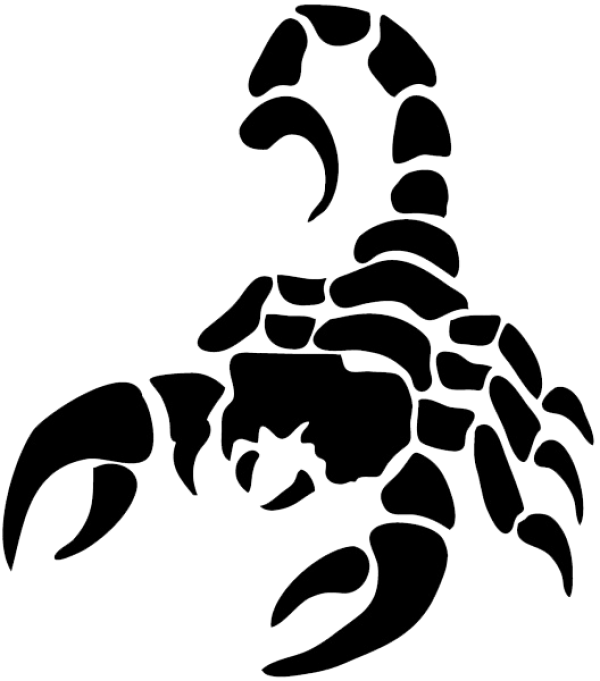 Scorpion PNG Free Download 27