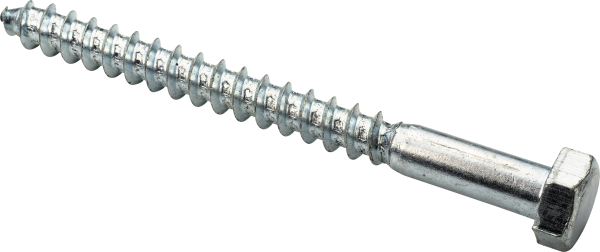 Screw PNG Free Download 2