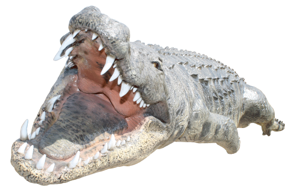 SharpTeeth Crocodile Png
