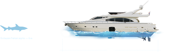 Ship PNG Free Download 4