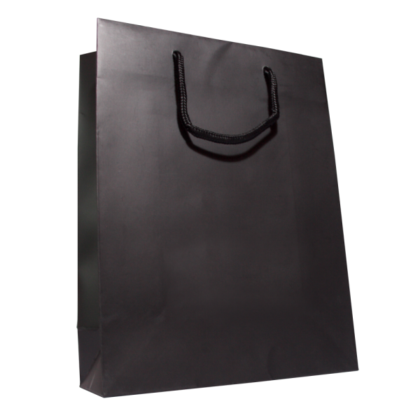 Shopping Bag PNG Free Download 12