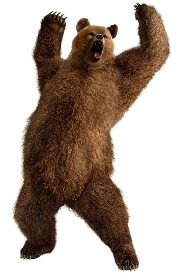 Shouting Bear Png Image
