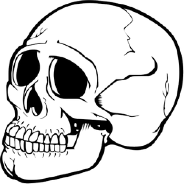 Skeleton PNG Free Download 26