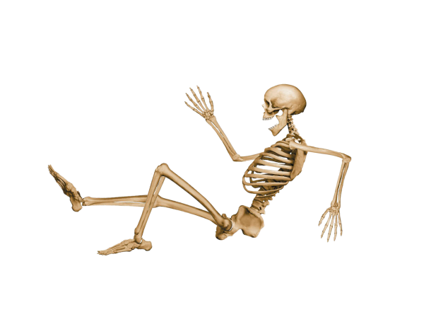 Skeleton PNG Free Download 31