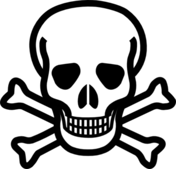 Skeleton PNG Free Download 35