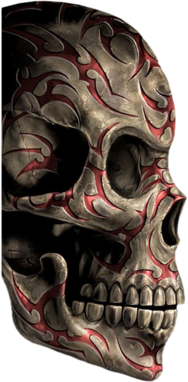 Skeleton PNG Free Download 7