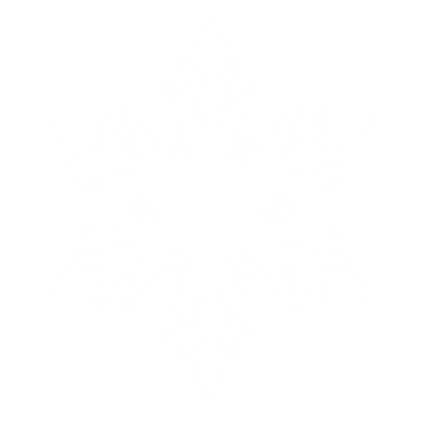 Snow Flakes PNG Free Download 11