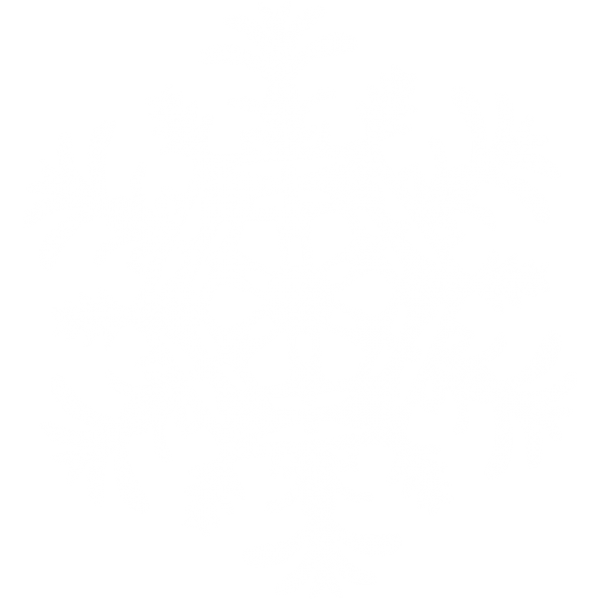 Snow Flakes PNG Free Download 37