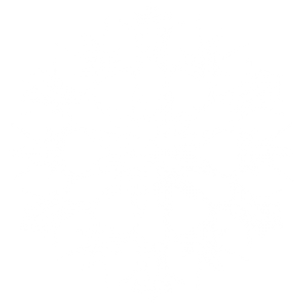 Snow Flakes PNG Free Download 38