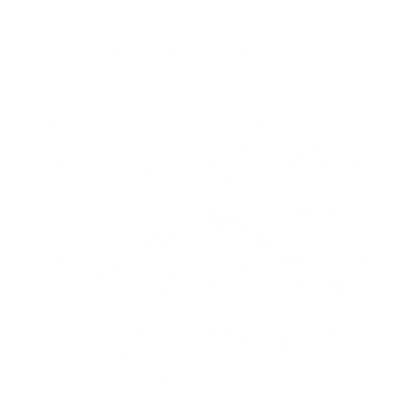 Snow Flakes PNG Free Download 41